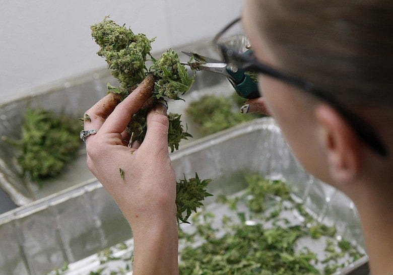 Ten lawmakers endorse commercial marijuana ballot question