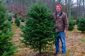 Casey Vandervalk stands next to one of his growing Christmas Trees at Vandervalk Farm & Winery (NewBostonPost, photo by Beth Treffeisen)
