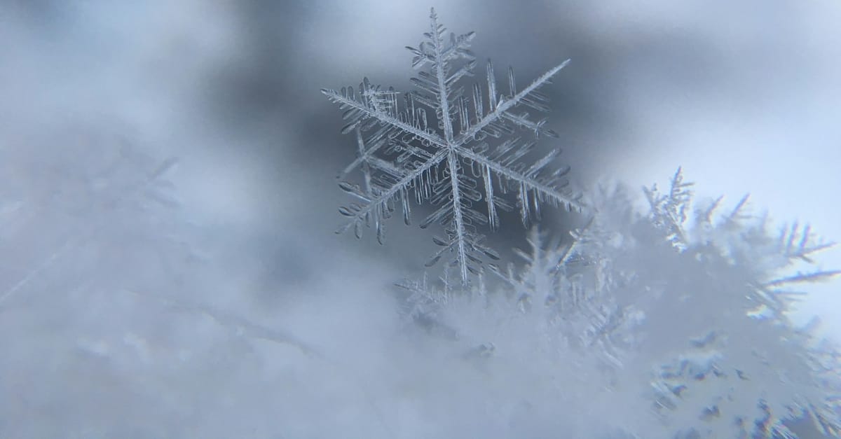 You Want The Original Snowflake Test? Here It Is