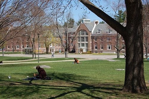 Academic fascism