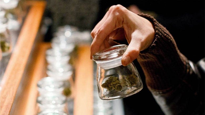 Legal home-grown marijuana on track for December despite concerns