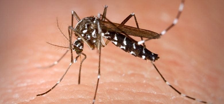 Fourth Zika case is confirmed in New Hampshire