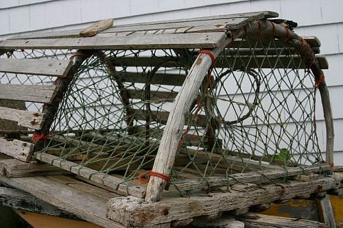 Climate Change Killing Lobsters, Activists Say
