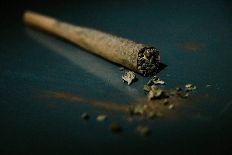 Massachusetts Governor’s Council Weighs Maura Healey Marijuana Pardon Plan