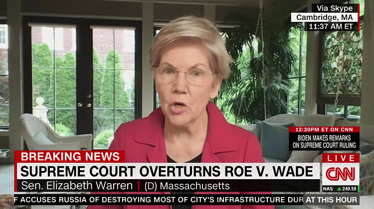 Elizabeth Warren Wants Kamala Harris To Run On Giving Amnesty To Illegal Immigrants