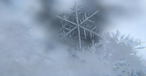 You Want The Original Snowflake Test? Here It Is