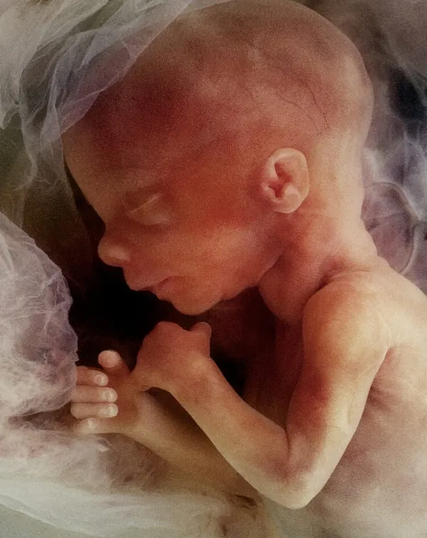 Ohio Voters Approve Pro-Abortion Amendment To State Constitution