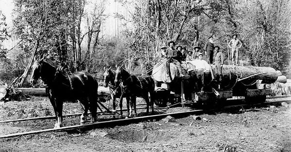 The twisted roots of U.S. land policy in the West