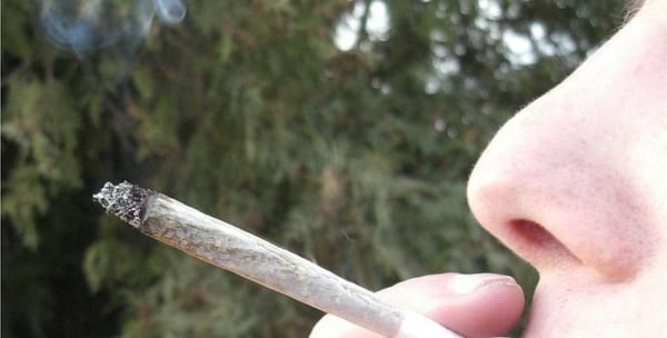 Scientific basis for laws on marijuana, driving questioned