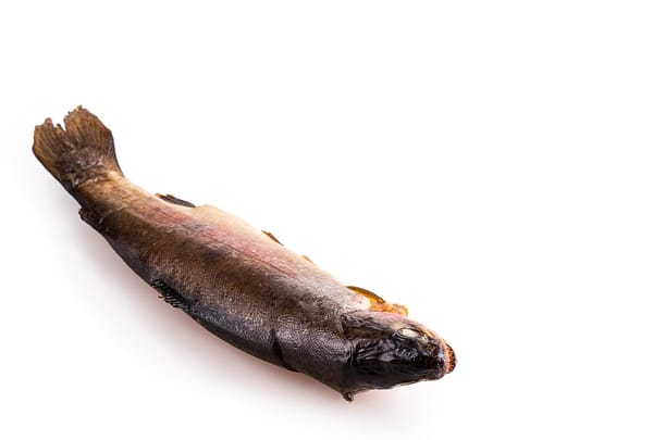 Was Baker’s $2,000-Per-Business Health Care Penalty A Red Herring?