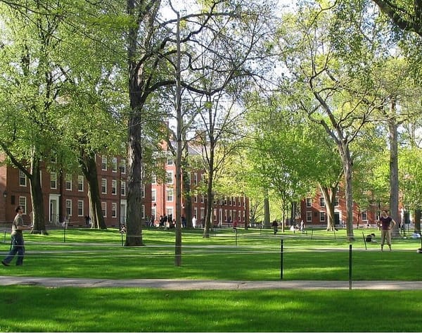 Tax Harvard?