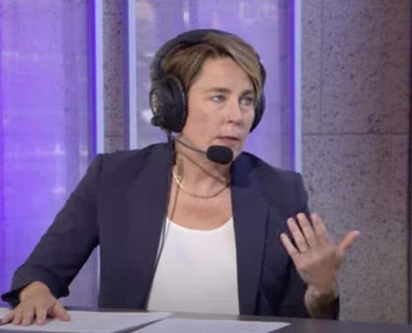 Healey Not Handling Migrants Inflow Well, Democratic State Rep Says