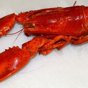 Maine Lobsters Verboten At Whole Foods Because Environmental Group Worried About Right Whales