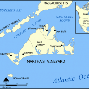 How Martha's Vineyard Voted In The 2020 Presidential Election