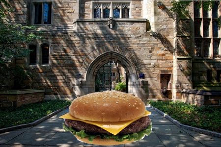 Yale Grad Students Conduct Hunger Strike In Between Meals