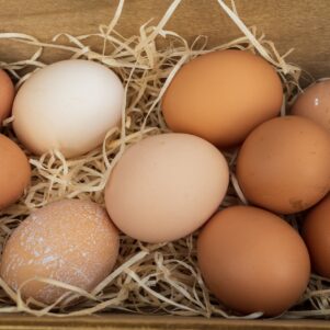 $5 Per Dozen Eggs May Soon Be A Reality In Massachusetts