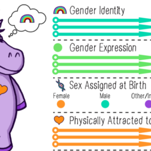 Franklin Using Gender Unicorn To Teach Sixth Graders There Are Infinite Genders
