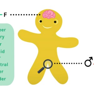Hadley Using Genderbread Cookie To Teach 14-Year-Olds Gender Exists On A Spectrum