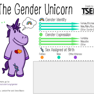 Arlington Public Schools Using 'Gender Unicorn' To Teach Fourth-Graders There Are Infinite Genders