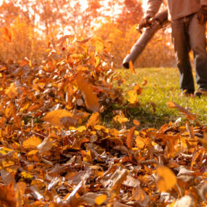 Cambridge Looking To Ban Gas-Powered Leaf Blowers -- But Landscapers Say They'll Feel The Pain