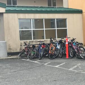 Kingston Hotel Providing Migrants With Bicycles To Get Around Town